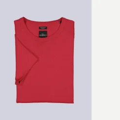 engbers Baic-hirt 