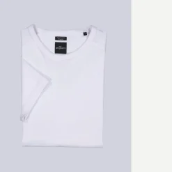 engbers Baic-hirt 