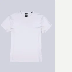 engbers Baic-hirt 