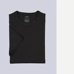 engbers Baic-hirt 