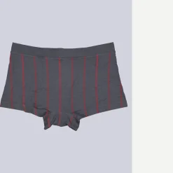 engbers Boxerhort geutert