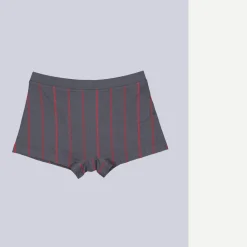 engbers Boxerhort geutert