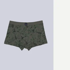 engbers Boxerhort geutert