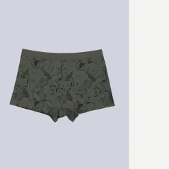 engbers Boxerhort geutert