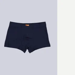 engbers Boxerhort