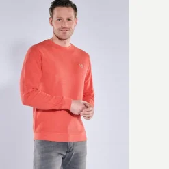 engbers Rundha hirt