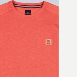 engbers Rundha hirt