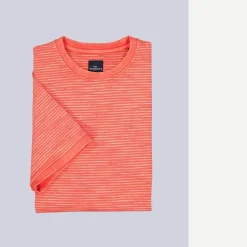 engbers T-hirt getreift